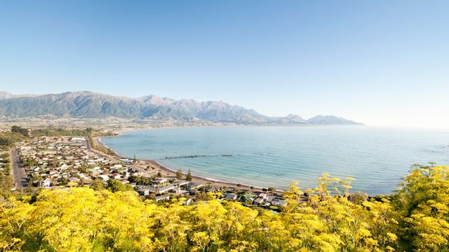 Kaikoura, New Zealand Hotels