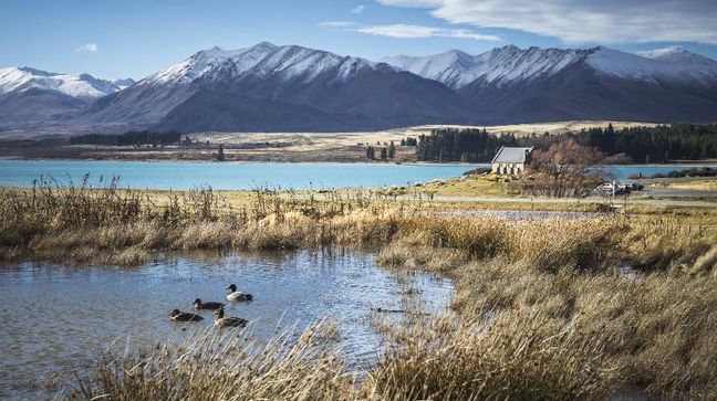Lake Tekapo, New Zealand Hotels