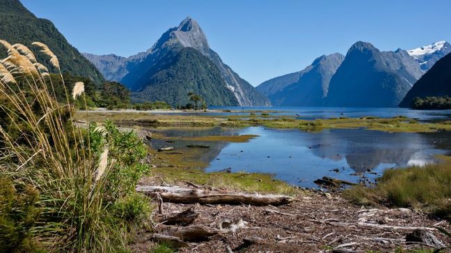 Milford Sound, New Zealand Hotels
