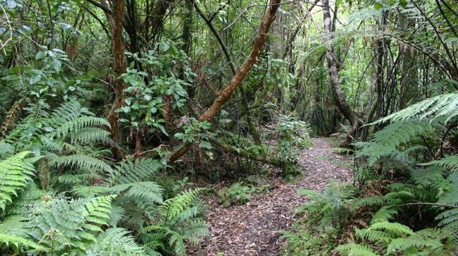 Stewart Island, New Zealand Hotels