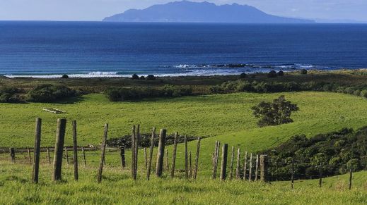 Tawharanui Open Sanctuary, New Zealand