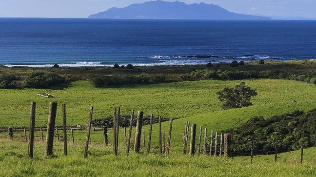 Tawharanui Open Sanctuary, New Zealand Hotels