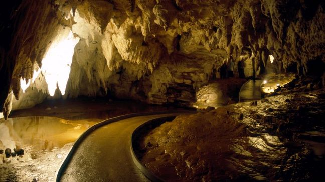 Waitomo Caves, New Zealand Hotels