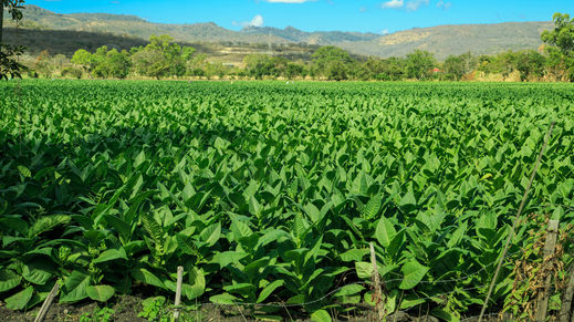 Esteli, Nicaragua