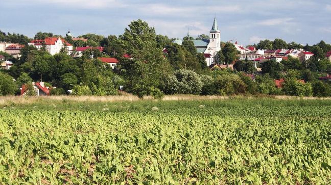 Lancut, Poland Hotels