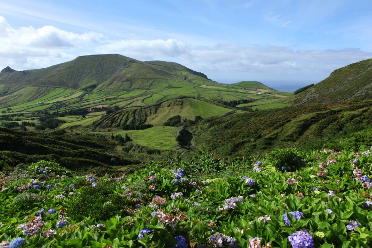 Find Flores Is, Azores Islands, Portugal Hotels Downtown Hotels in
