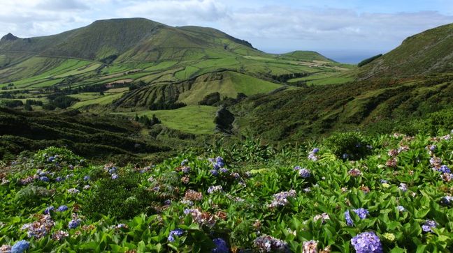 Flores Is, Azores Islands, Portugal Hotels