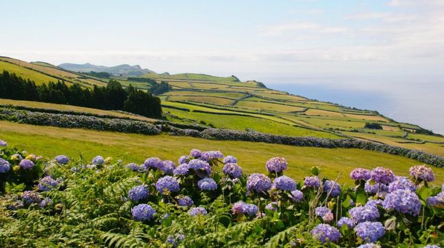 Sao Jorge Is., Azores Islands, Portugal Hotels