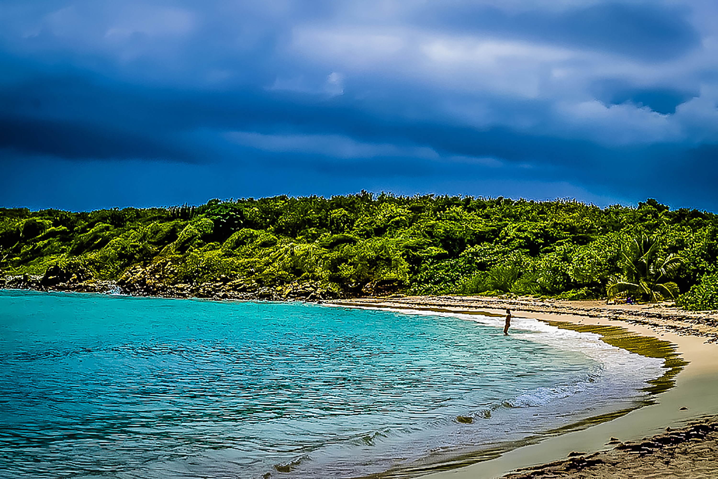 252765_SCN_Vieques- 252765_SCN_Vieques-