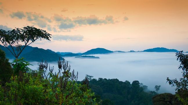 Nyungwe Forest, Rwanda Hotels