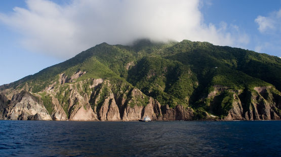 Saba