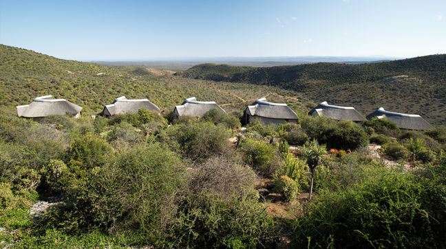 Addo Elephant Natl Park, South Africa Hotels