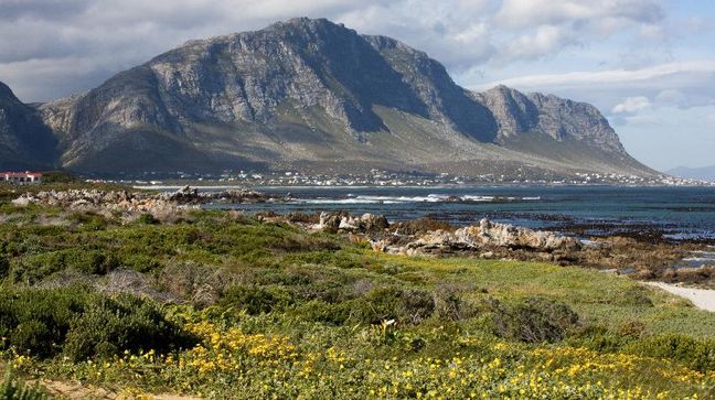 Hermanus, South Africa Hotels