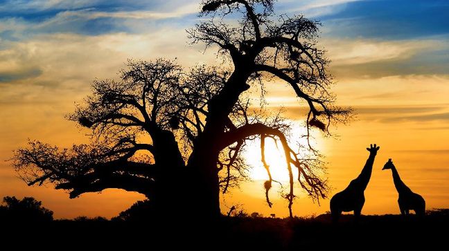 Mapungubwe National Park, South Africa Hotels