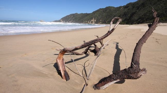 Wilderness National Park, South Africa Hotels