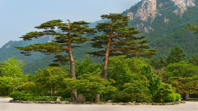 Sokcho, South Korea Hotels