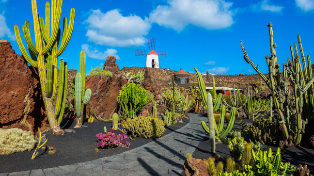 Lanzarote Island, Canary Islands, Spain Hotels