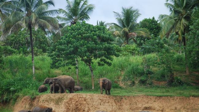 Sri Lanka Hotels