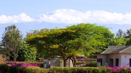 Moshi, Tanzania