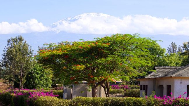 Moshi, Tanzania Hotels