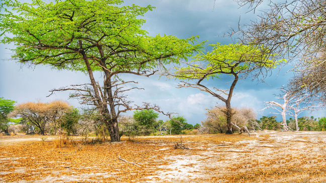 Selous Game Reserve, Tanzania Hotels