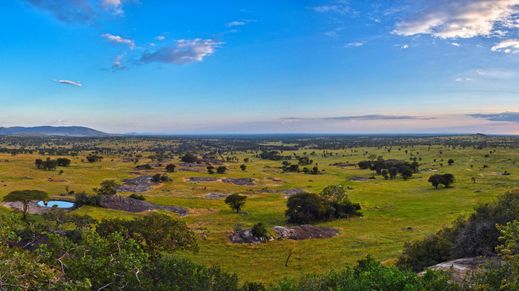 Serengeti Natl Park, Tanzania