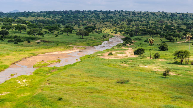Tarangire National Park, Tanzania Hotels