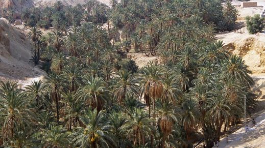 Nefta, Tunisia