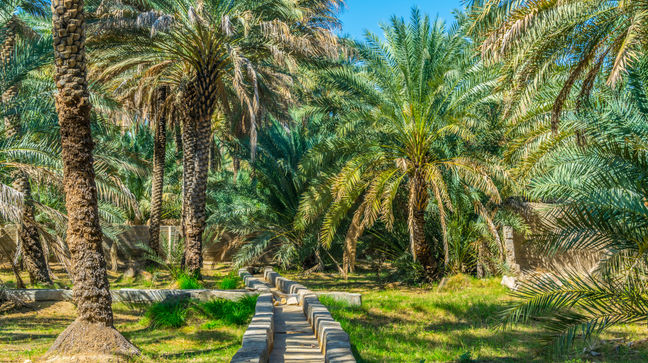 Al Ain, United Arab Emirates Hotels