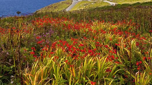 Land's End, England