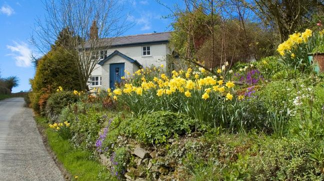 Welshpool, Wales Hotels