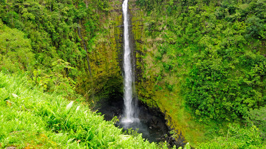 Akaka Falls State Park, Hawaii