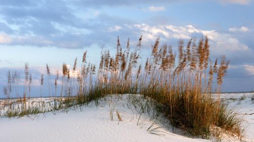 Bay Area and the Eastern Shore, Alabama