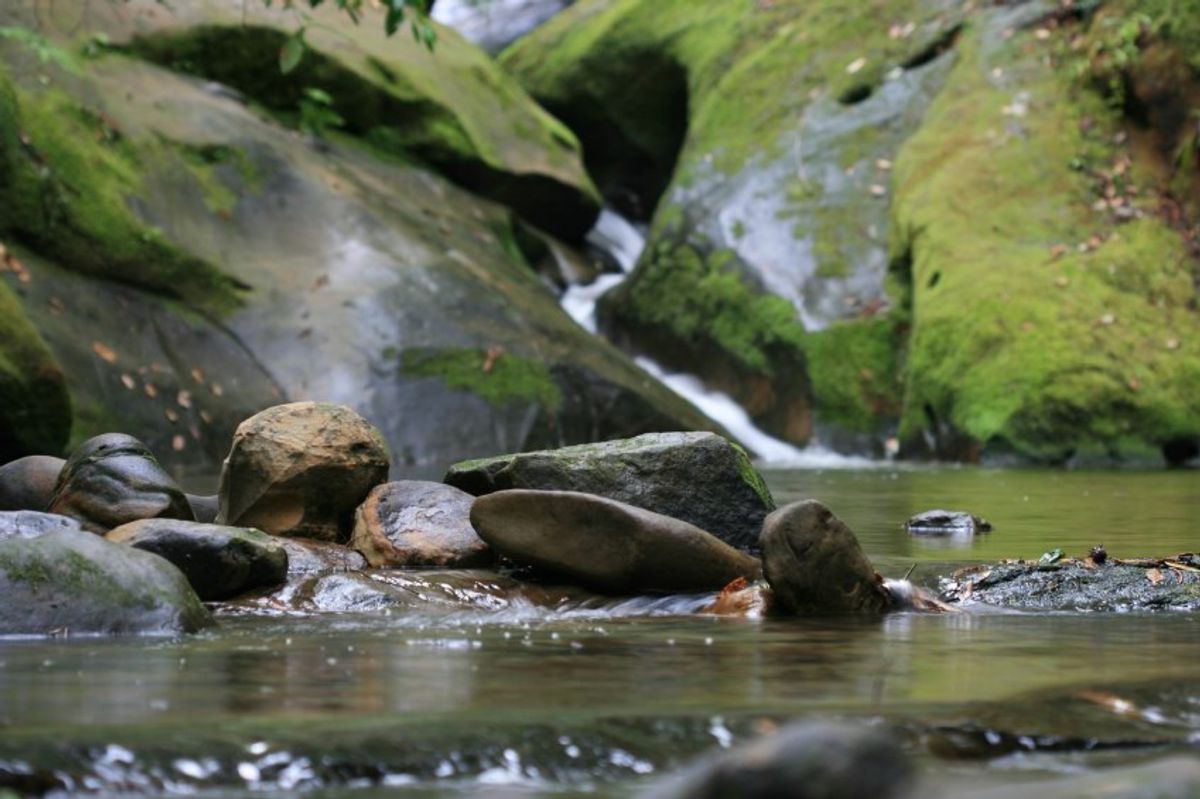 Find Big Basin Redwoods State Park, CA Hotels Downtown Hotels in Big