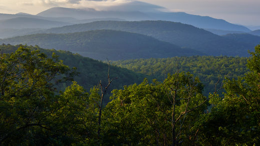 Blue Ridge Parkway, Virginia