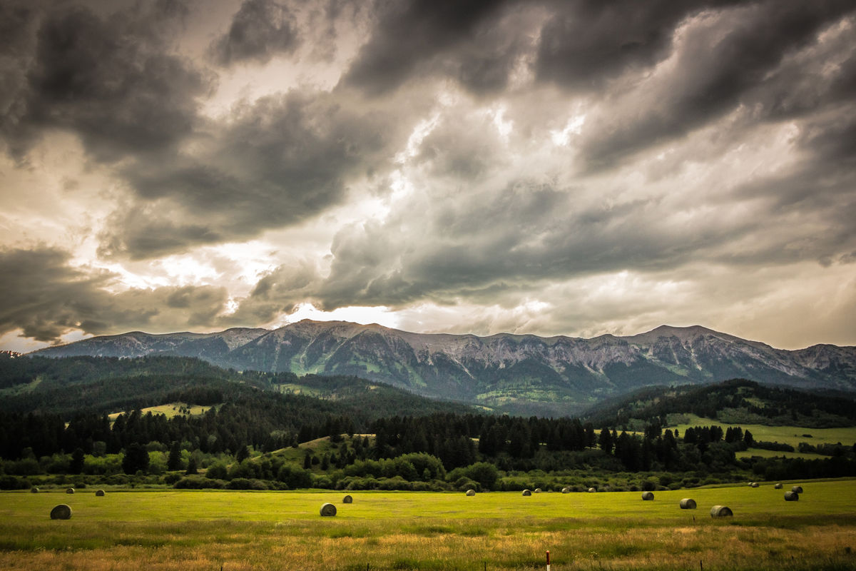 Find Bridger Bowl Ski Area, MT Hotels Downtown Hotels in Bridger Bowl