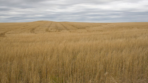 Buffalo Gap National Grassland, South Dakota