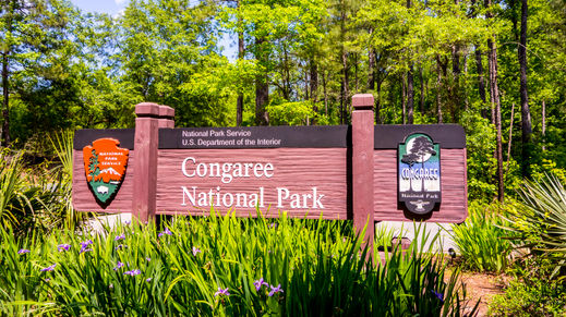 Congaree National Park, South Carolina