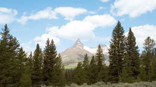 Cooke City, Montana