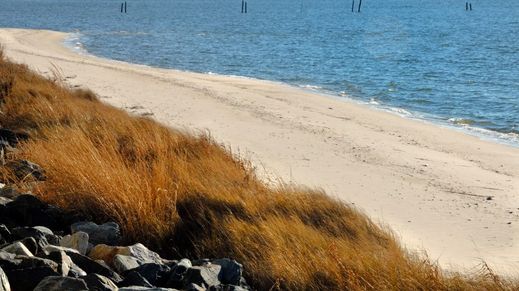 Eastern Shore, The, Virginia