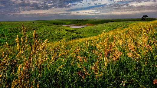 Flint Hills, Kansas
