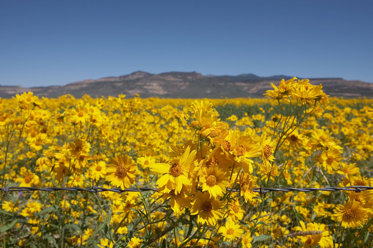 Find Gallup, NM Hotels Downtown Hotels in Gallup Hotel Search by