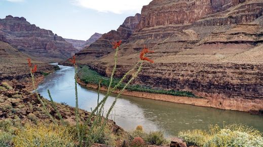 Grand Canyon West, Arizona