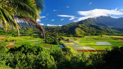 Hanalei, Hawaii