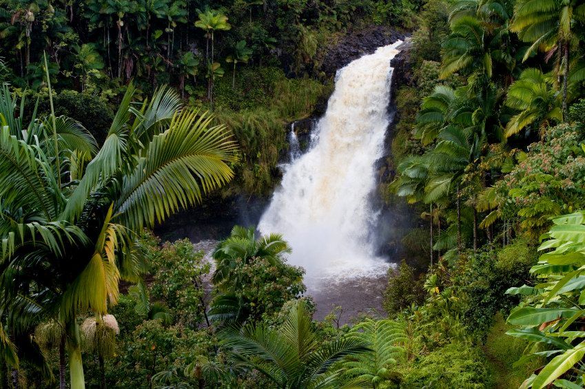 Hilo, HI Travel Guide- Top Hotels, Restaurants, Vacations