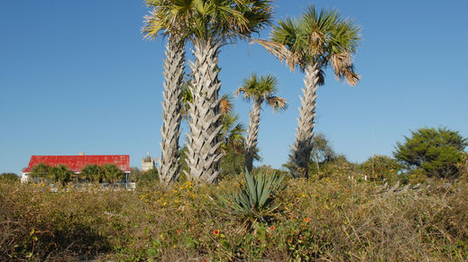 Isle of Palms, South Carolina