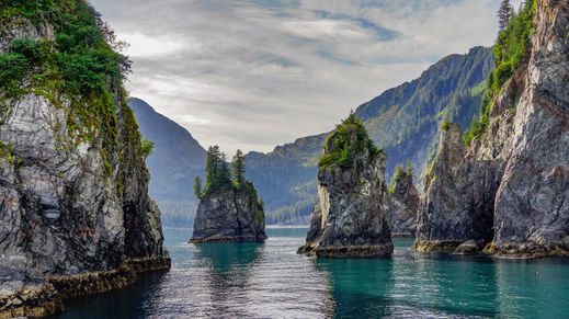 Kenai Fjords Natl Park, Alaska
