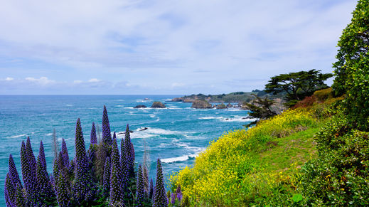 Mendocino County, California