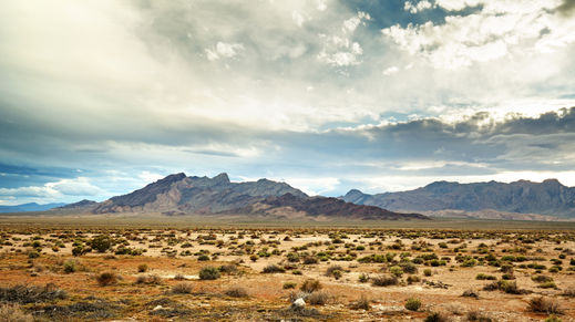 Mojave Desert, California