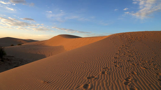 Monahans Sandhills St Pk, Texas